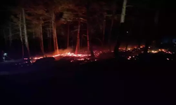 Yangın köylüler ve ekipler tarafından söndürüldü