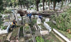 AFAD ve Belediye hasar gören mezarlıkları tespit ediyor