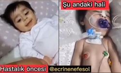 3 yaşındaki SMA hastası Ecrin bebek için kermes