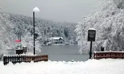 Gölcük Tabiat Parkı karla kaplandı