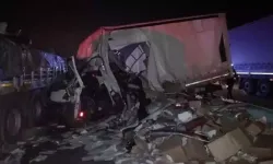 TIR'a çarpan kamyonetin sürücüsü yaralandı