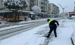 Kar etkili oldu 46 köy yolu ulaşıma kapandı
