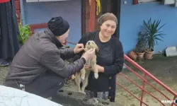 Çöpe bırakılan yavru köpeği sahiplendiler...