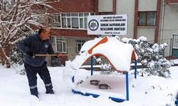 Kdz. Ereğli Belediyesi sokak hayvanlarını unutmadı...