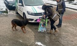 'HAYDİ' sokak hayvanlarını yalnız bırakmadı...