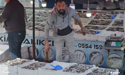 Açıldığı denizde 10 ton balıkla döndü...