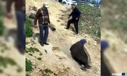 8 metrelik tepeye çukurlar açtı...