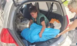 BABACAN öldü... Yerine sokak köpeğini sahiplendi…