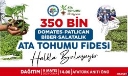350 bin ata tohumu fidesi dağıtılacak...