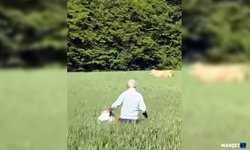 Kaçan kurbanlık boğa ormanda yakaladı...