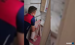 Banyoda mahsur kalan karga kurtarıldı...