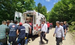 80 metreden uçuruma yuvarlandı: Yaralılar var!