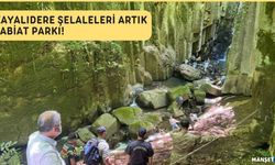 Kayalıdere Şelaleleri Artık Tabiat Parkı!