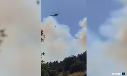 Orman yangını... Havadan ve karadan müdahale ediliyor...