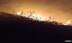 Tarım arazisinde yangın... Ekiplerin müdahalesi ile...