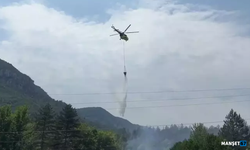 Tarlada başlayan yangın ormana sıçradı...