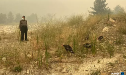 3 farklı noktada yangın ekipler müdahale ediyor...