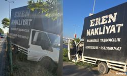 Refüje çıktı… Ağaçları devirdi…