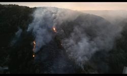 Yangının boyutu dron ile görüntülendi...