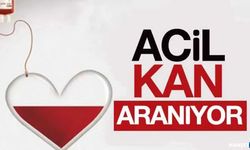 Ameliyat olacak... Acil kan aranıyor...