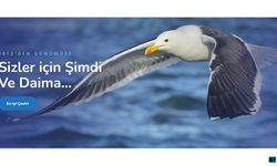 İşaret Dili Çevirmeni ve Teknik İngilizce Çeviri - Okeanostercume.com.tr