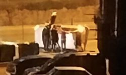 Otomobil takla attı... Yaralılar var!...