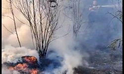 Boş alanda çıkan yangın tarlaya sıçradı...