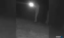 Fotokapan yerleştirildi... Kaçak avcılara ceza kesildi...