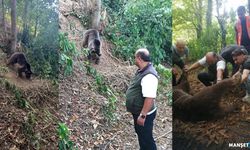 Uyuşturularak kurtarıldı… O anlar kameraya yansıdı…