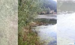 Köylülerden örnek davranış... Göl temizlendi...