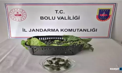 Ülkeye sokulması yasak olan su kaplumbağası ele geçirildi...