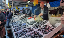 Zonguldak’ta hamsinin kilosu 70 liraya düştü...