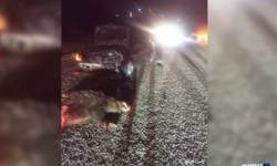 Otomobil yola fırlayan domuza çarptı...