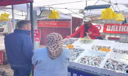 Hamsinin fiyatı gelen balık miktarına göre değişiyor...