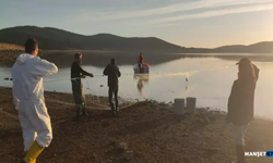 Ağa takılan 500 balık, canlı olarak kurtarıldı...