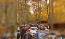 Yedigöller Milli Parkı, ziyaretçi akınına uğradı...
