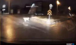 Köpeklerin kovaladığı kişiyi aracına alarak kurtardı...