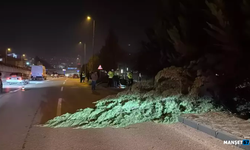 Önce aydınlatma direğine, sonra ağaçlara çarptı...