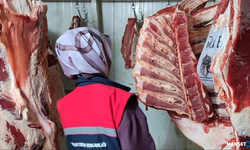 Rekor denetim... 106 işletme incelendi...