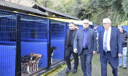 Barınma evinin kapasitesi artıyor...