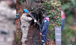 Polis ve Jandarmadan operasyon... İmha edildi...