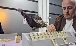 48 yıllık gelenek bozulmadı... ‘Baba hindi’ turnuvası...