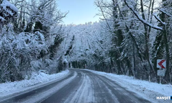 'Ağaç tünel yol'da beyaz güzellik...
