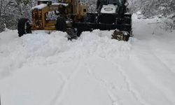 Alaplı'da ekipler kışa hazır...