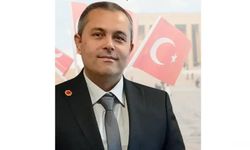 Bu iktidardan fazlasını istemek saflık olurdu...