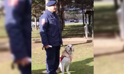 İz takip köpeği ‘Medyum’ törenle emekliye ayrıldı...