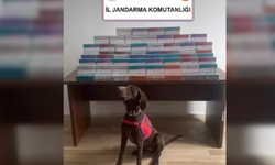 Yurda sokulan binlerce elektronik sigara kiti ele geçirildi