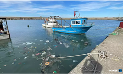 'Zonguldak'ta balık sezonu kötü geçiyor'...