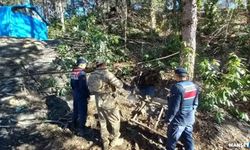 Kaçak ocaklara geçit yok… İmha edildiler…