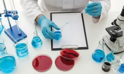 Mueller Hinton Agar ile Antibiyotik Duyarlılık Testlerinde Güvenilir Sonuçlar